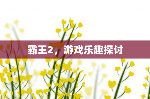 游戏乐趣探讨图片