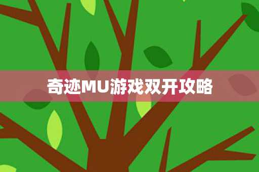 奇迹MU游戏双开攻略图片
