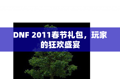 DNF 2011春节礼包图片