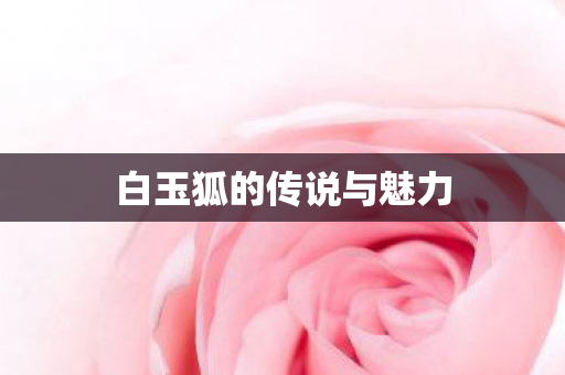 白玉狐的传说与魅力图片