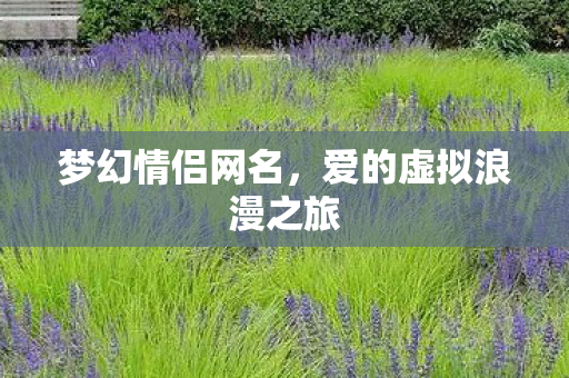 爱的虚拟浪漫之旅图片