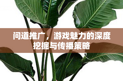 游戏魅力的深度挖掘与传播策略图片