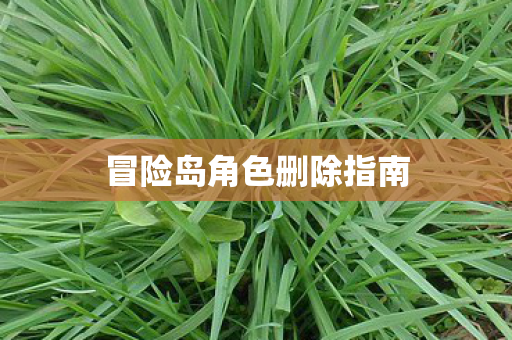 冒险岛角色删除指南图片