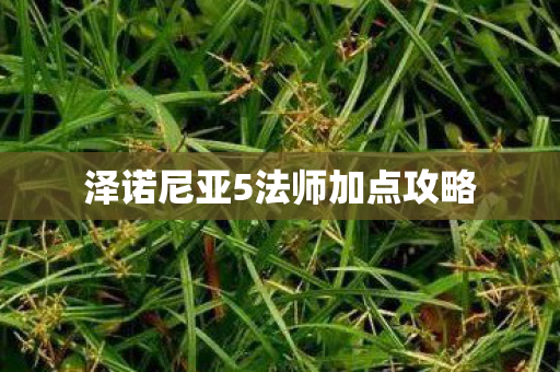 泽诺尼亚5法师加点攻略图片