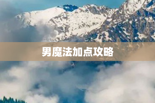 男魔法加点攻略图片