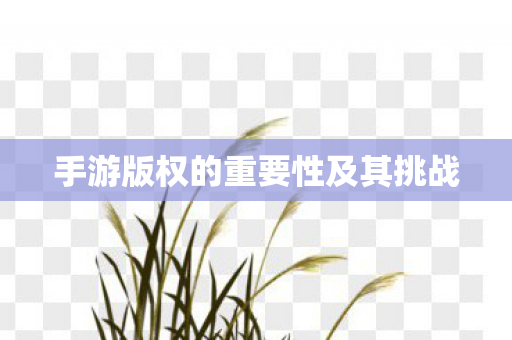 手游版权的重要性及其挑战图片