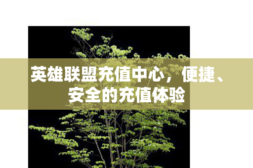 英雄联盟充值中心图片