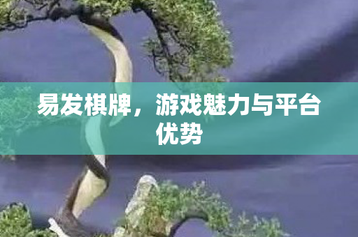 游戏魅力与平台优势图片