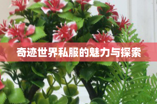 奇迹世界私服的魅力与探索图片