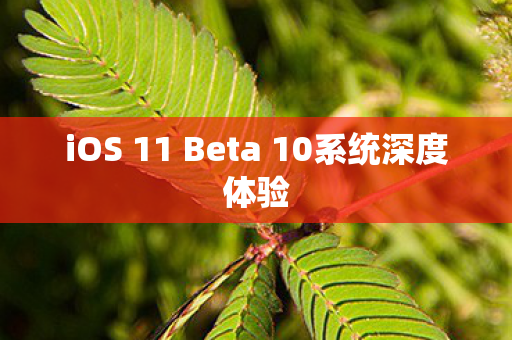 iOS 11 Beta 10系统深度体验图片