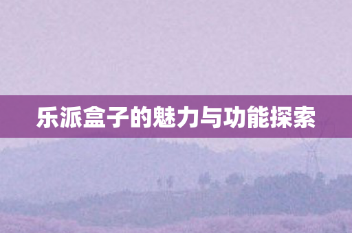 乐派盒子的魅力与功能探索图片