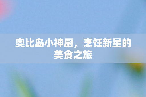 烹饪新星的美食之旅图片