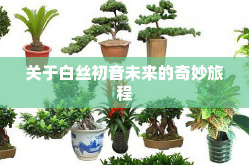 关于白丝初音未来的奇妙旅程图片