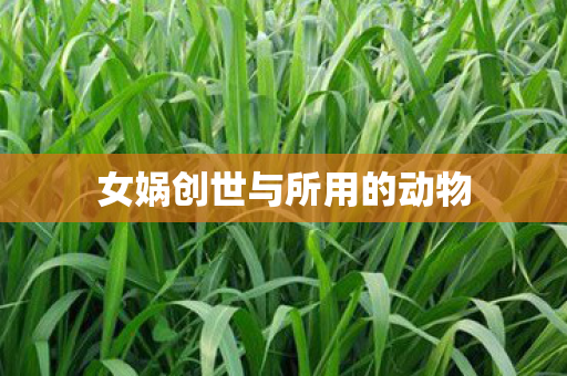 女娲创世与所用的动物图片