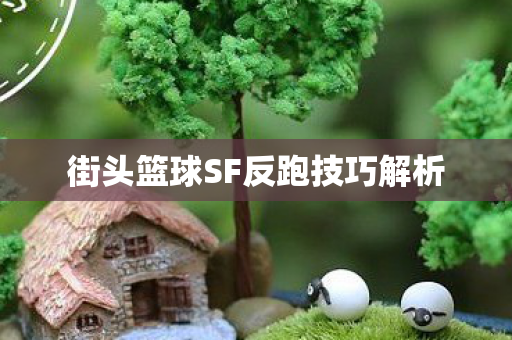街头篮球SF反跑技巧解析图片