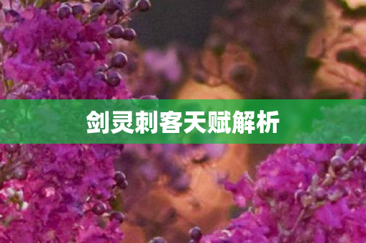 剑灵刺客天赋解析图片
