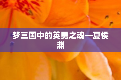 梦三国中的英勇之魂图片