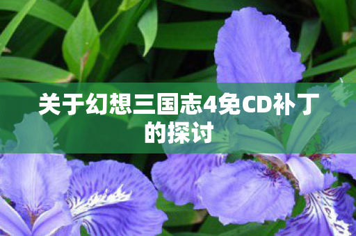 关于幻想三国志4免CD补丁的探讨图片