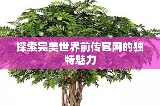 探索完美世界前传官网的独特魅力图片