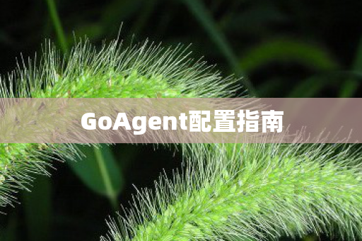 GoAgent配置指南图片