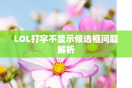 LOL打字不显示候选框问题解析图片