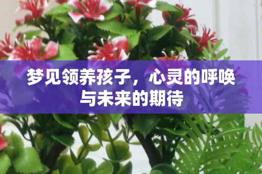 心灵的呼唤与未来的期待图片