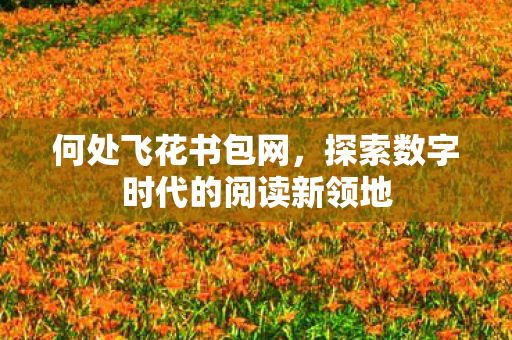 探索数字时代的阅读新领地图片