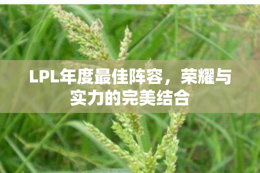 荣耀与实力的完美结合图片