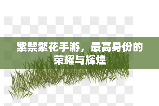 最高身份的荣耀与辉煌图片