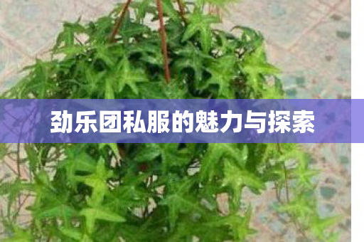 劲乐团私服的魅力与探索图片