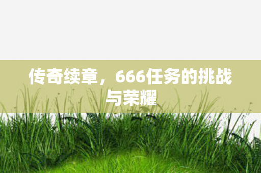 666任务的挑战与荣耀图片