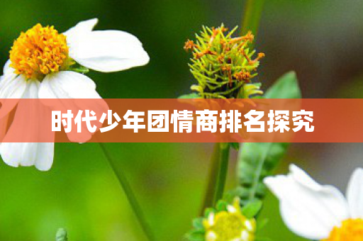 时代少年团情商排名探究图片
