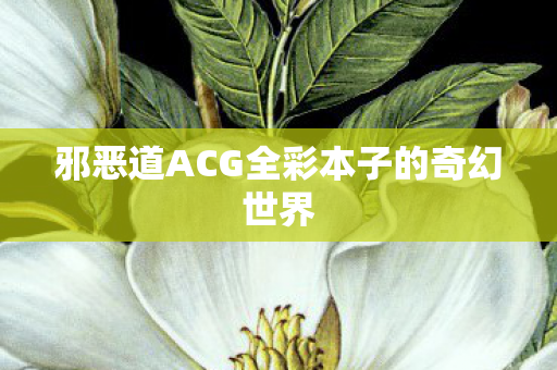 邪恶道ACG全彩本子的奇幻世界图片