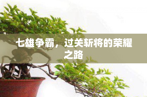 过关斩将的荣耀之路图片