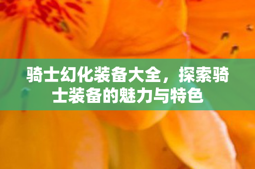 探索骑士装备的魅力与特色图片