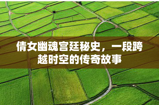 一段跨越时空的传奇故事图片