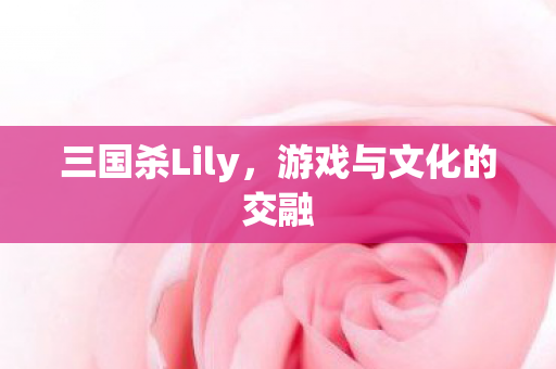 游戏与文化的交融图片