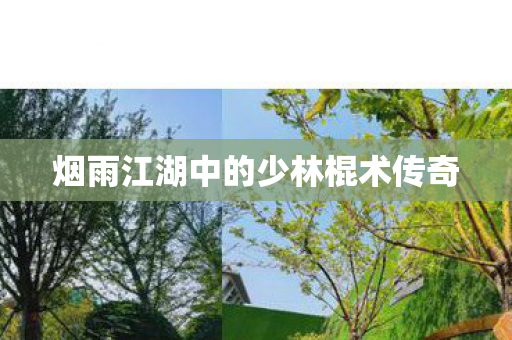 烟雨江湖中的少林棍术传奇图片