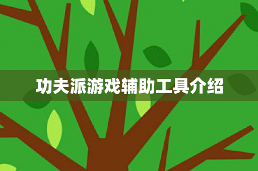 功夫派游戏辅助工具介绍图片