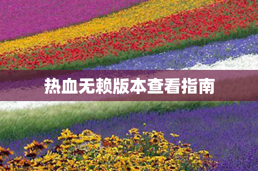 热血无赖版本查看指南图片