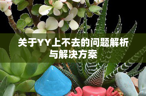 关于YY上不去的问题解析与解决方案图片