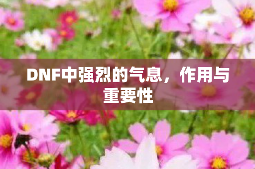 DNF中强烈的气息图片