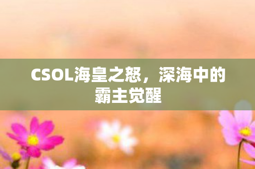 CSOL海皇之怒图片