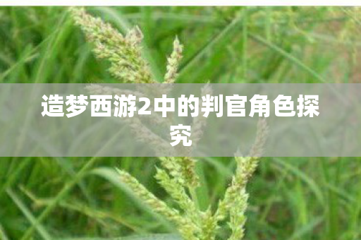 造梦西游2中的判官角色探究图片