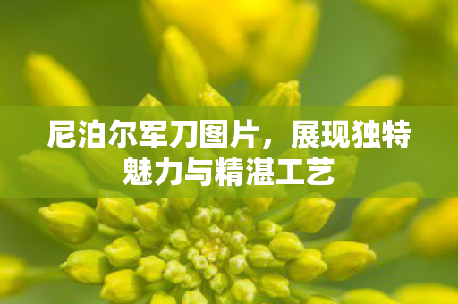 展现独特魅力与精湛工艺图片