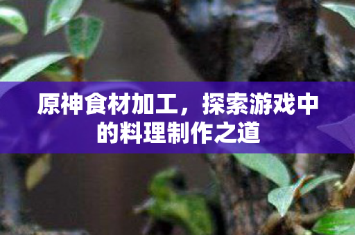探索游戏中的料理制作之道图片