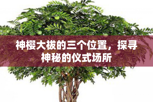 神樱大祓的三个位置图片
