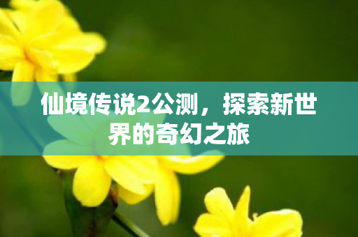 探索新世界的奇幻之旅图片