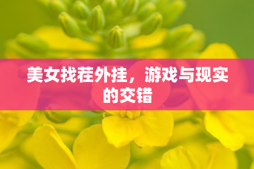 游戏与现实的交错图片