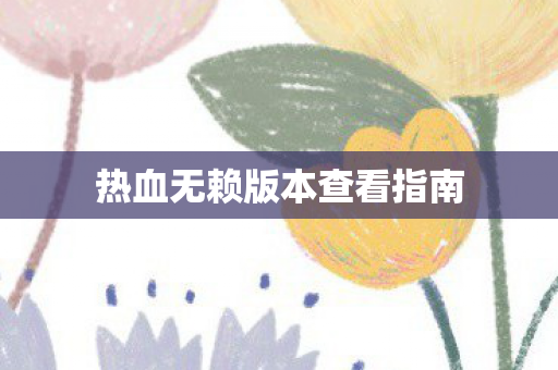 热血无赖版本查看指南图片